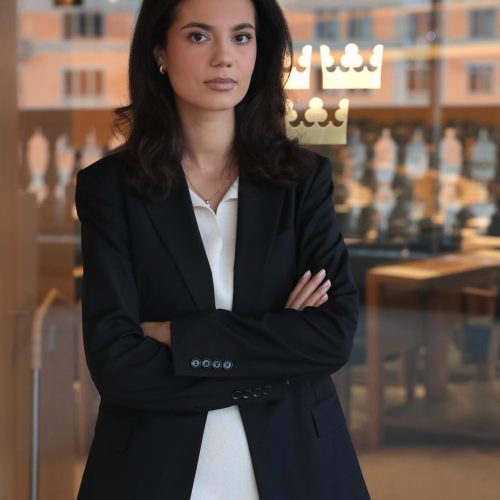 En ekonomisk idé för en ny geopolitisk verklighet - Aida Birinxhiku