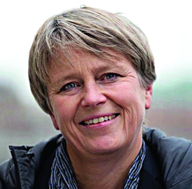 Löften som formar landet - Irene Wennemo