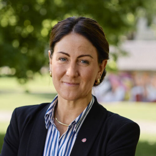 Den norska lösningen - Tonje Brenna